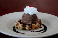 SCE-Waffle-Clean-062721