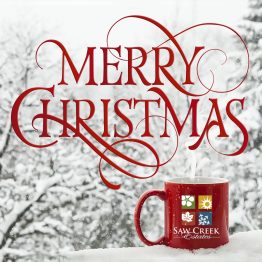 Saw Creek Estates Holiday Cards - Coffee Cup